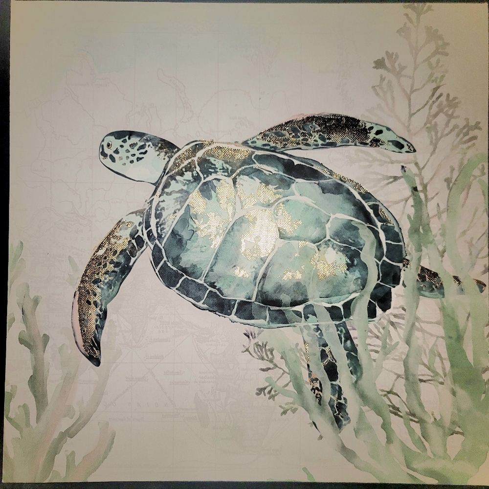 6 sea wall paintings